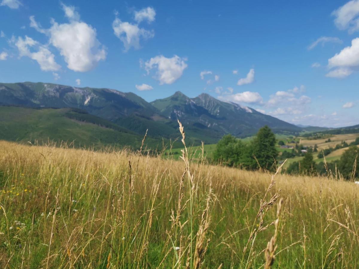 Stylovy Zrub Martina A S Kupacou Kadou A Detskym Ihriskom! Ždiar Zewnętrze zdjęcie